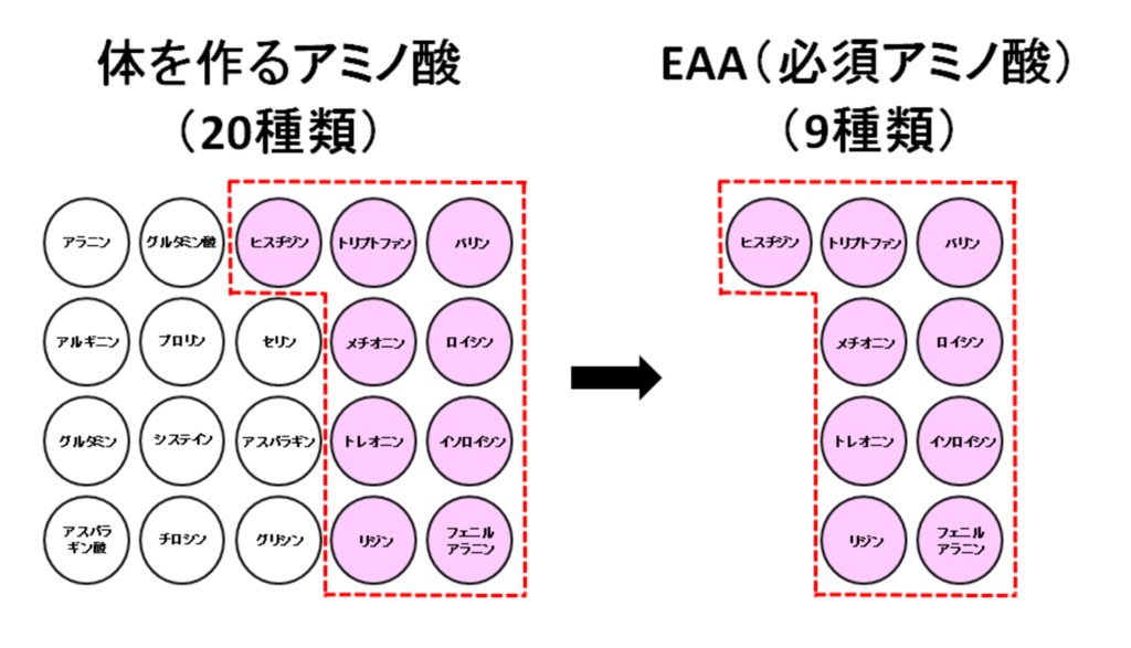 EAAのイメーイジ