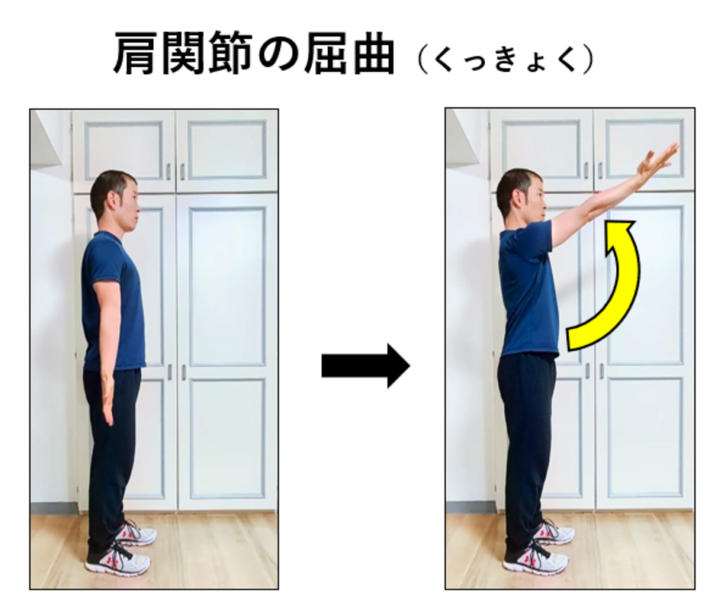 肩関節の屈曲・横から