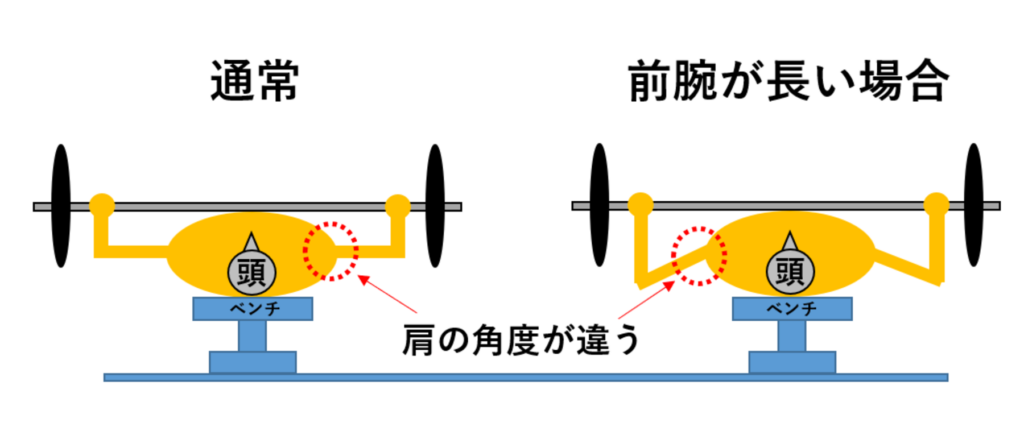 ベンチプレス前腕の違い説明図